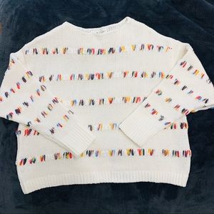 Lou & Grey for Loft Rainbow Stitch Sweater